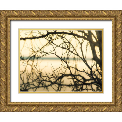 Aspen Sunset Gold Ornate Wood Framed Art Print with Double Matting by Plank, Savanah