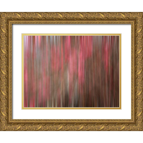 Crabapple Tree blossoms Gold Ornate Wood Framed Art Print with Double Matting by Plank, Savanah