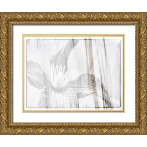 Black and white clematis Gold Ornate Wood Framed Art Print with Double Matting by Plank, Savanah