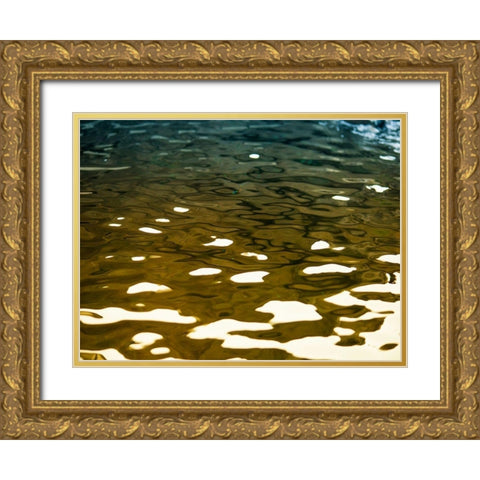 Water Reflections Gold Ornate Wood Framed Art Print with Double Matting by Plank, Savanah