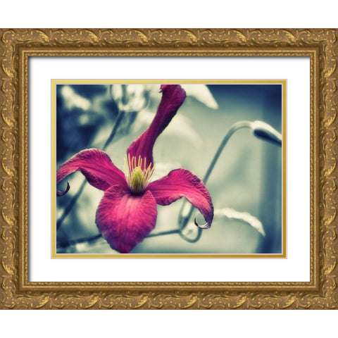 Pink Clematis Gold Ornate Wood Framed Art Print with Double Matting by Plank, Savanah
