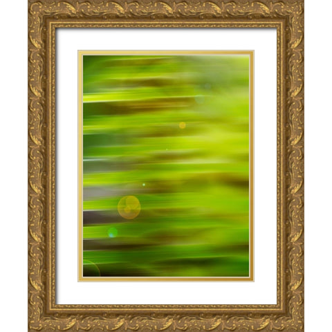 Abstract green flora Gold Ornate Wood Framed Art Print with Double Matting by Plank, Savanah
