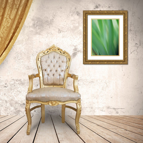 Green flora motion Gold Ornate Wood Framed Art Print with Double Matting by Plank, Savanah