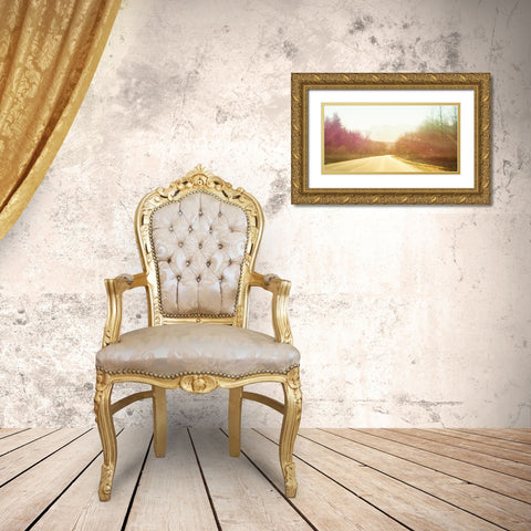 Alsaska Roadtrip Gold Ornate Wood Framed Art Print with Double Matting by Plank, Savanah