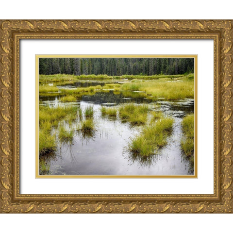 Hatchers Pass creek marsh Gold Ornate Wood Framed Art Print with Double Matting by Plank, Savanah