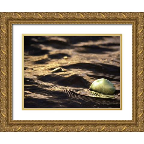 USA, Southeast Alaska, Ketchik Gold Ornate Wood Framed Art Print with Double Matting by Plank, Savanah