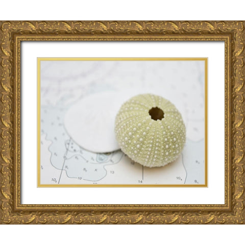 Nautical Urchin Gold Ornate Wood Framed Art Print with Double Matting by Plank, Savanah