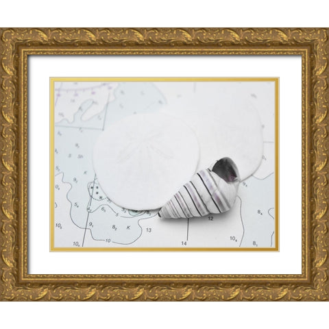 Nautical shell and sand dollar Gold Ornate Wood Framed Art Print with Double Matting by Plank, Savanah