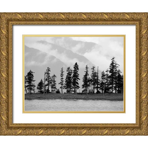 Pines Gold Ornate Wood Framed Art Print with Double Matting by Plank, Savanah