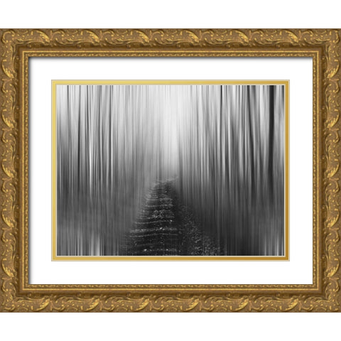 Path Gold Ornate Wood Framed Art Print with Double Matting by Plank, Savanah