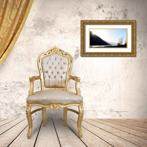 Knik River Gold Ornate Wood Framed Art Print with Double Matting by Plank, Savanah