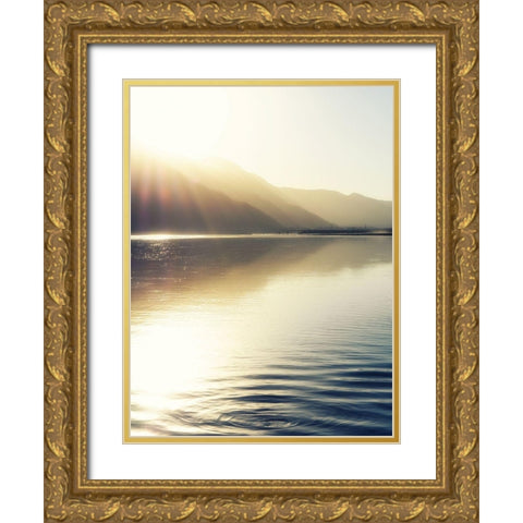 Knik River scenic Gold Ornate Wood Framed Art Print with Double Matting by Plank, Savanah