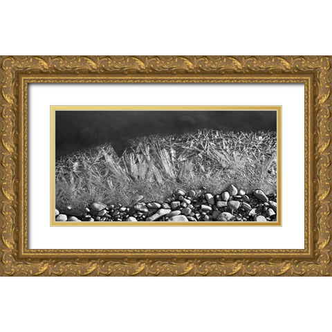 Frozen Rivers Edge Gold Ornate Wood Framed Art Print with Double Matting by Plank, Savanah
