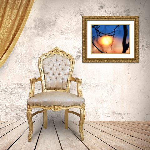 Abstract Sunset Gold Ornate Wood Framed Art Print with Double Matting by Plank, Savanah