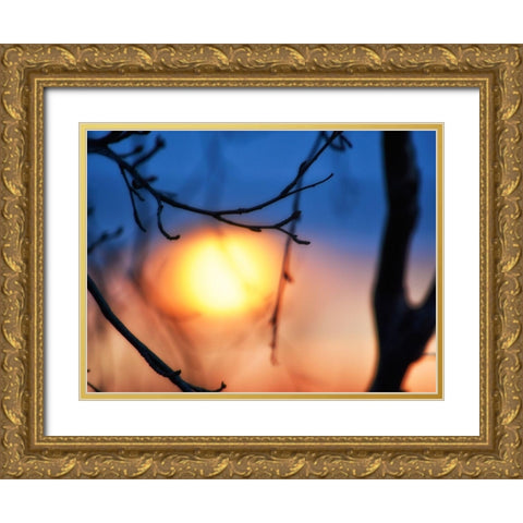 Abstract Sunset Gold Ornate Wood Framed Art Print with Double Matting by Plank, Savanah