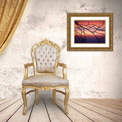 Abstract Sunset Gold Ornate Wood Framed Art Print with Double Matting by Plank, Savanah
