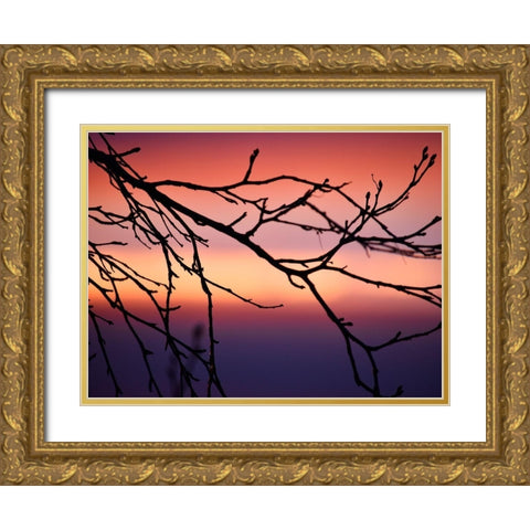Abstract Sunset Gold Ornate Wood Framed Art Print with Double Matting by Plank, Savanah