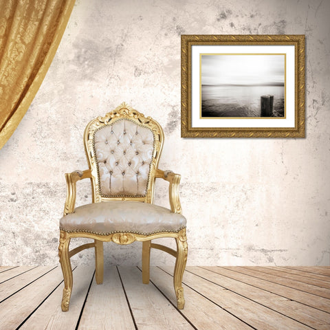 USA, Seattle, view from Alki b Gold Ornate Wood Framed Art Print with Double Matting by Plank, Savanah