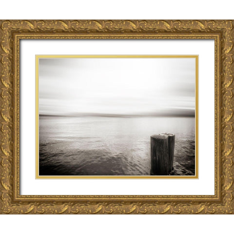 USA, Seattle, view from Alki b Gold Ornate Wood Framed Art Print with Double Matting by Plank, Savanah