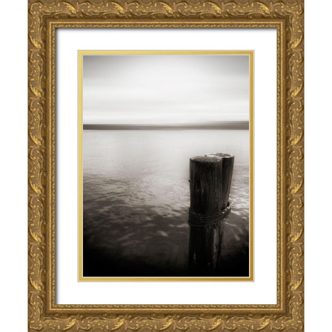 USA, Seattle, view from Alki b Gold Ornate Wood Framed Art Print with Double Matting by Plank, Savanah