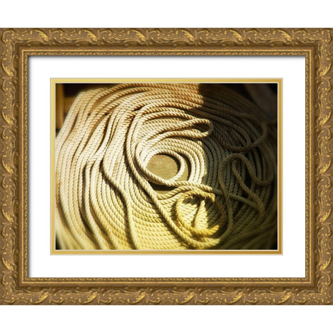 Boat line coiled Gold Ornate Wood Framed Art Print with Double Matting by Plank, Savanah