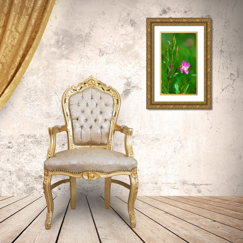 Spring Flower Gold Ornate Wood Framed Art Print with Double Matting by Bennion, Scott
