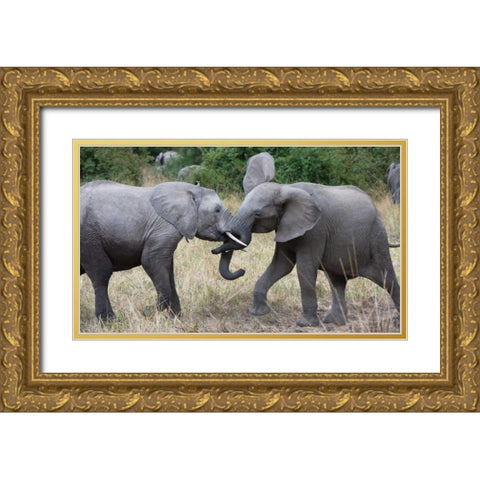 Young Wrestlers Gold Ornate Wood Framed Art Print with Double Matting by Bennion, Scott