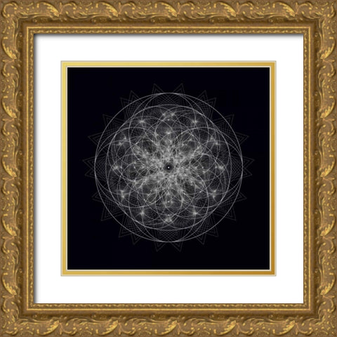 Dynamic I Gold Ornate Wood Framed Art Print with Double Matting by Anderson, Tyler