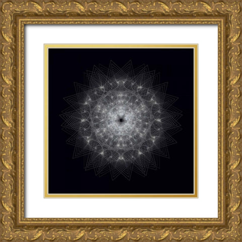 Dynamic III Gold Ornate Wood Framed Art Print with Double Matting by Anderson, Tyler