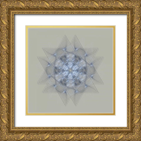 Dynamic IV Gold Ornate Wood Framed Art Print with Double Matting by Anderson, Tyler