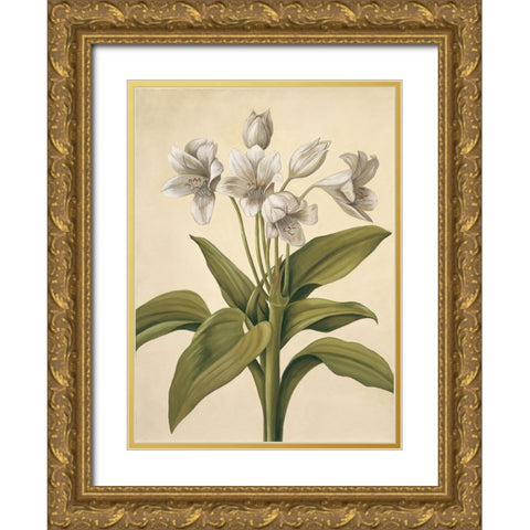 Lilies I Gold Ornate Wood Framed Art Print with Double Matting by Huntington, Virginia