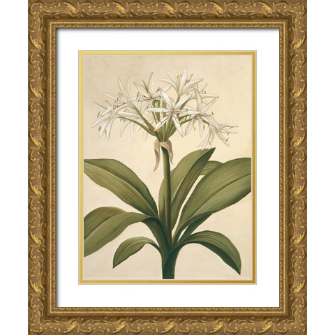 Lilies II Gold Ornate Wood Framed Art Print with Double Matting by Huntington, Virginia