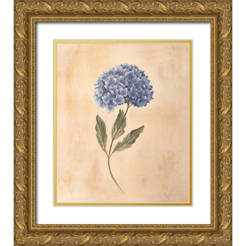 Hydrangea Gold Ornate Wood Framed Art Print with Double Matting by Huntington, Virginia