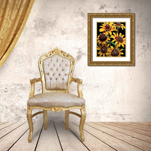 Brown-Eyed Daisy Gold Ornate Wood Framed Art Print with Double Matting by Reynolds, Richard
