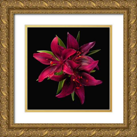 Asiatic Lily ~ Montenegro Gold Ornate Wood Framed Art Print with Double Matting by Reynolds, Richard