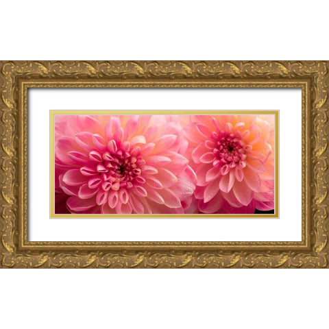 Dahlia 6 Gold Ornate Wood Framed Art Print with Double Matting by Reynolds, Richard