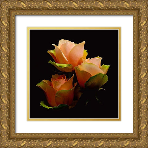 Garden Rose 1 Gold Ornate Wood Framed Art Print with Double Matting by Reynolds, Richard