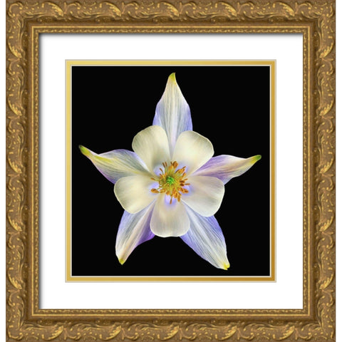 Columbine Origami Blue 2 Gold Ornate Wood Framed Art Print with Double Matting by Reynolds, Richard