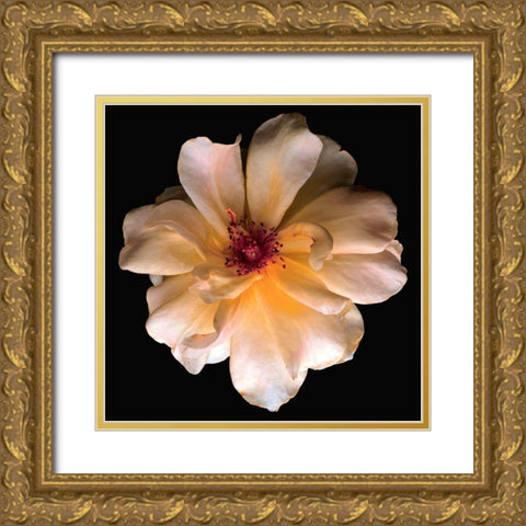 Butterfly Rose Gold Ornate Wood Framed Art Print with Double Matting by Reynolds, Richard