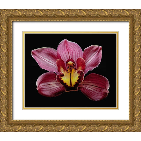 Orchid Eikoh Gold Ornate Wood Framed Art Print with Double Matting by Reynolds, Richard