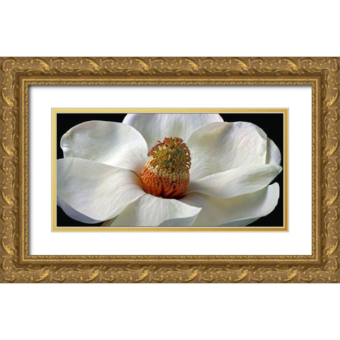 Southern Magnolia Gold Ornate Wood Framed Art Print with Double Matting by Reynolds, Richard