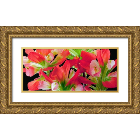 Indian Paintbrush Gold Ornate Wood Framed Art Print with Double Matting by Reynolds, Richard