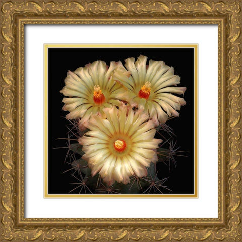 Scheers Cory Cactus Gold Ornate Wood Framed Art Print with Double Matting by Reynolds, Richard