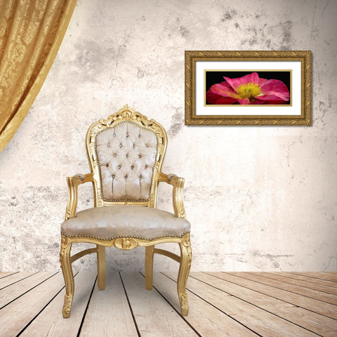 Shirley Poppy Gold Ornate Wood Framed Art Print with Double Matting by Reynolds, Richard