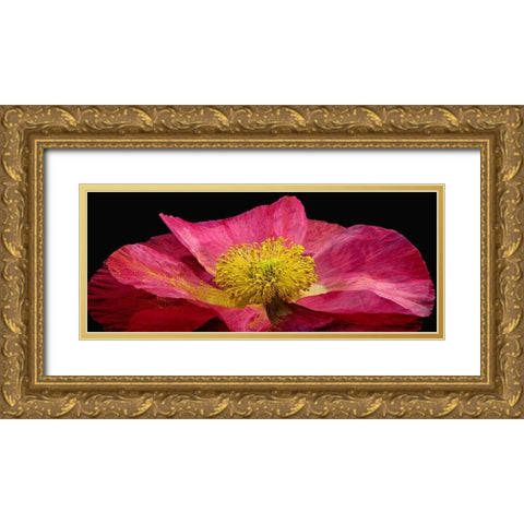 Shirley Poppy Gold Ornate Wood Framed Art Print with Double Matting by Reynolds, Richard