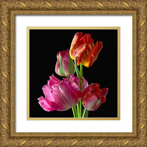 Parrot Tulips 2 Gold Ornate Wood Framed Art Print with Double Matting by Reynolds, Richard