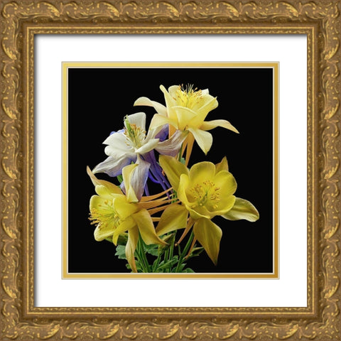 Columbines ~ Origami Mix Gold Ornate Wood Framed Art Print with Double Matting by Reynolds, Richard