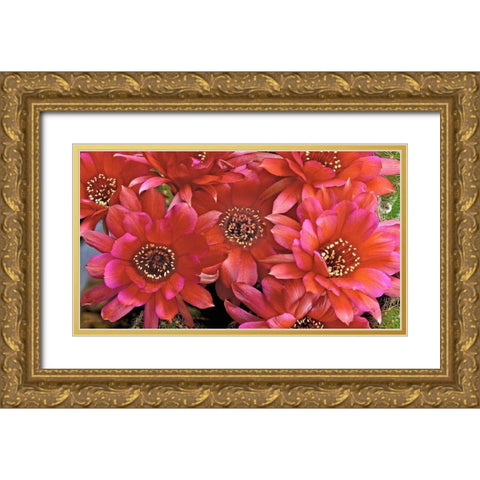 Lovibia Cactus Gold Ornate Wood Framed Art Print with Double Matting by Reynolds, Richard