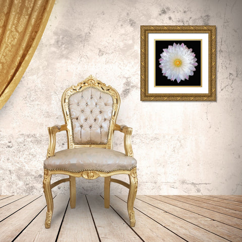 Thelocactus Hexaedrophorus Gold Ornate Wood Framed Art Print with Double Matting by Reynolds, Richard