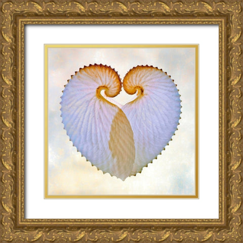 Paper Nautilus 1 Gold Ornate Wood Framed Art Print with Double Matting by Reynolds, Richard